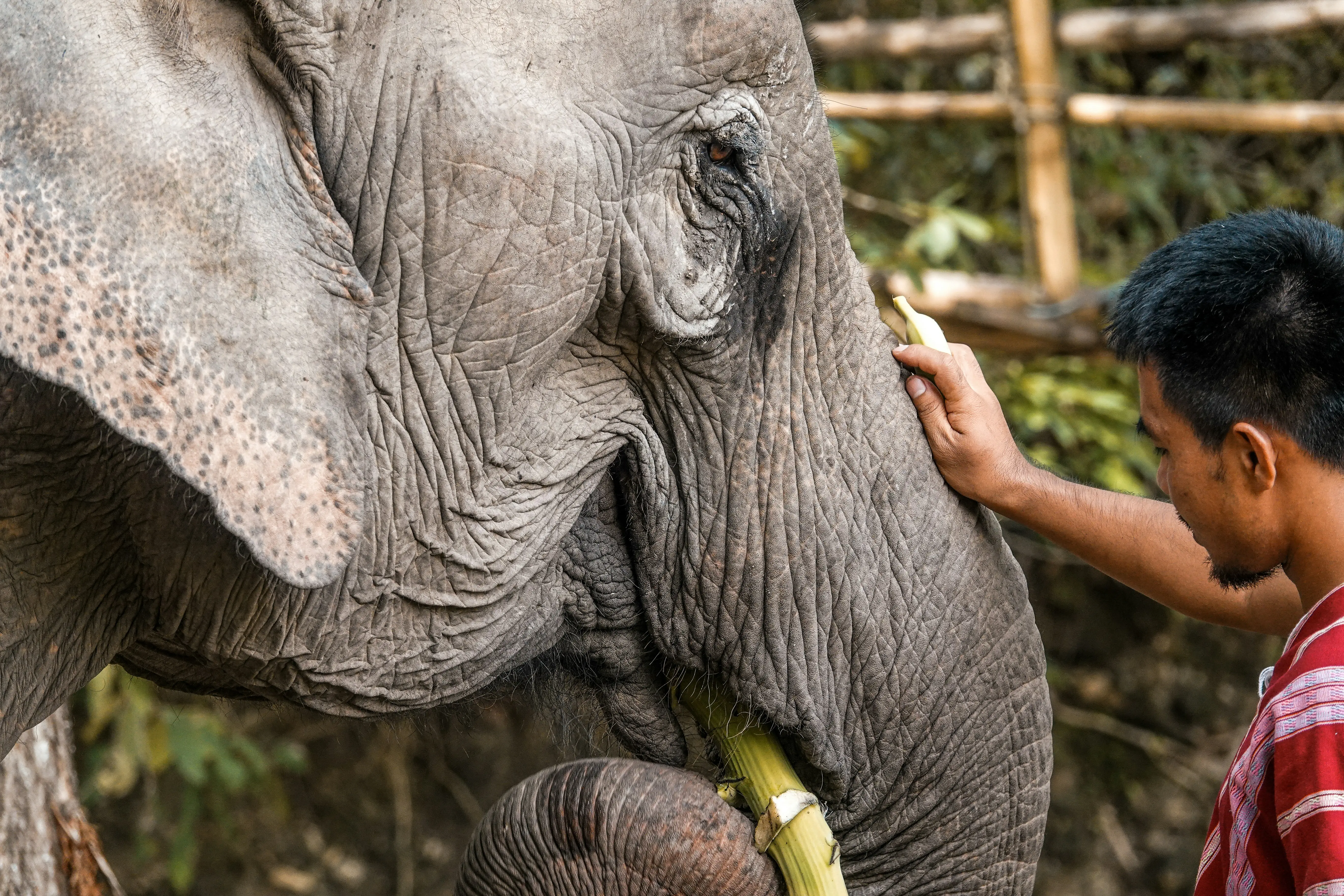 Doi Inthanon Twin Pagodas, Hmong market, Karen village, and waterfalls - Nature Tour Chiang Mai