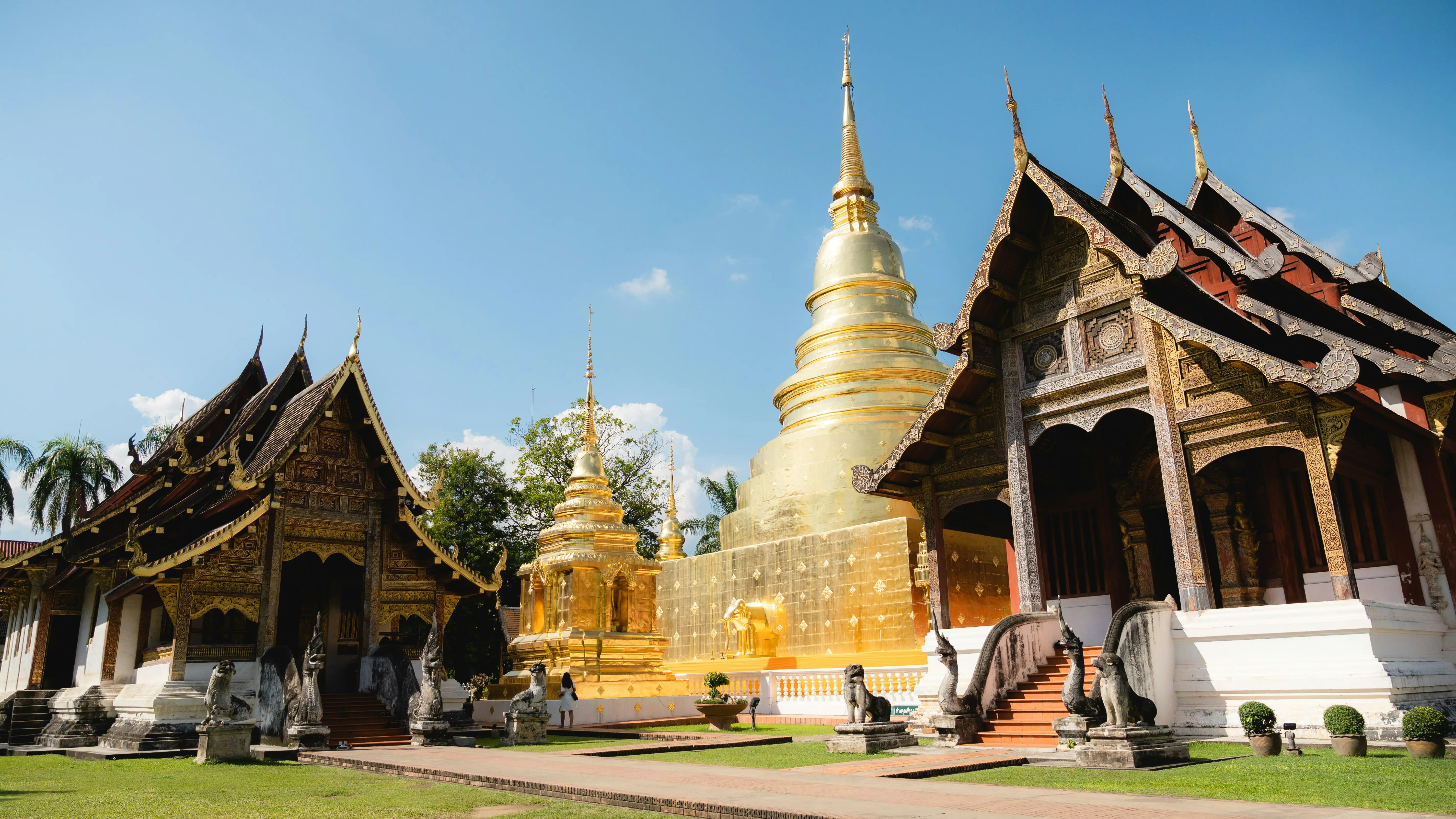 Matsea guiding a private Chiang Mai tour